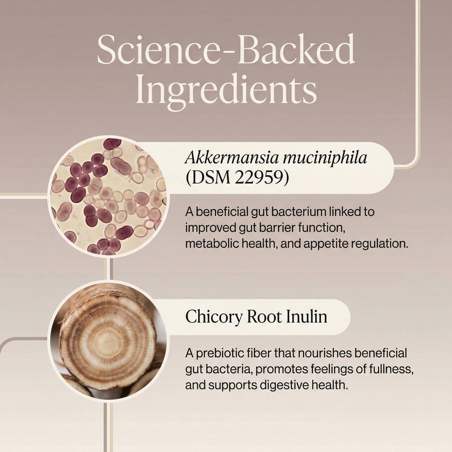 SatietySync™ Akkermansia